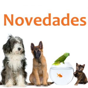 Novedades