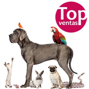 Top Ventas
